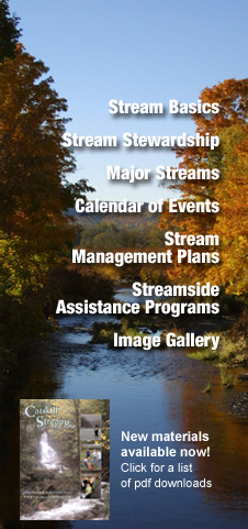 Catskill Streams