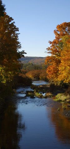 Catskill Streams