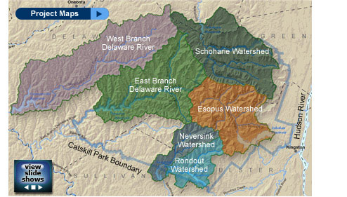 Catskill Streams
