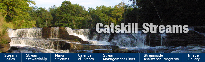 Catskill Streams