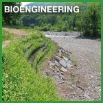 Bioengineering