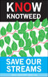 Japanese Knotweed