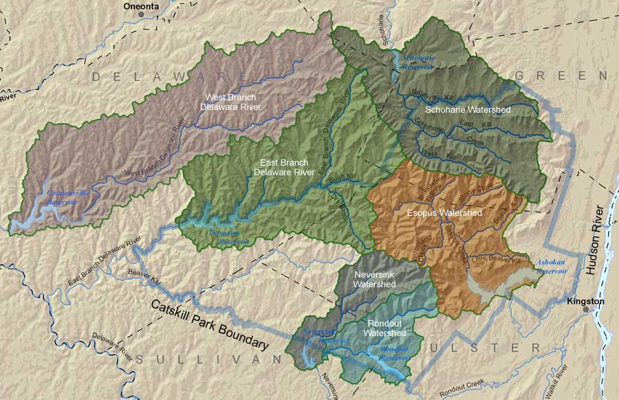 Catskill Streams