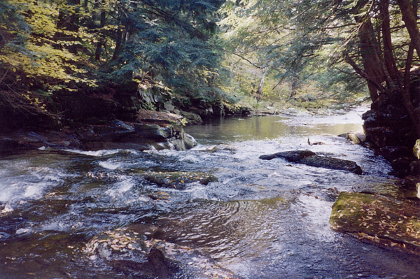 Neversink River