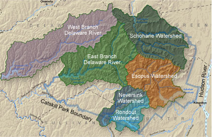 Catskill Streams